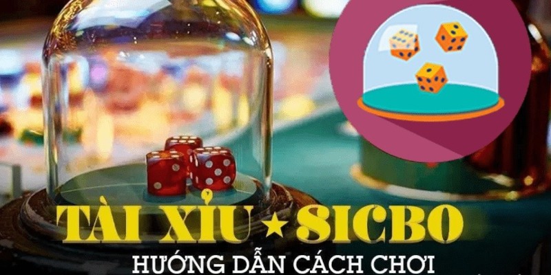 Những kiểu cược dễ hiểu tại MCW77