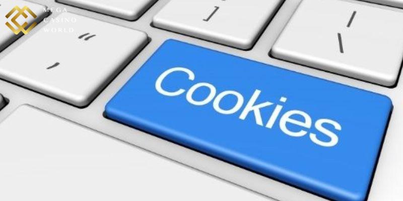 Chính sách sử dụng Cookie trên website